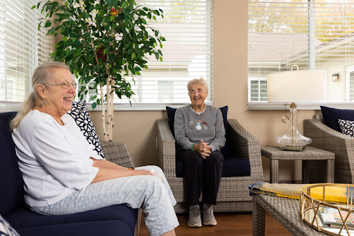 Two seniors enjoying a pleasant conversation in a cozy living room.
