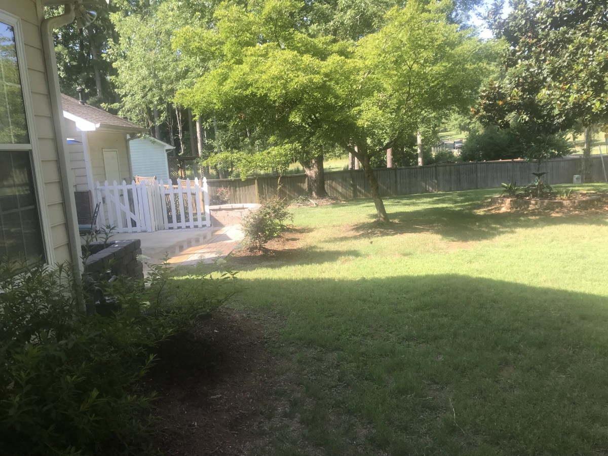 A sunny backyard with grassy lawn, trees, and a white fence.