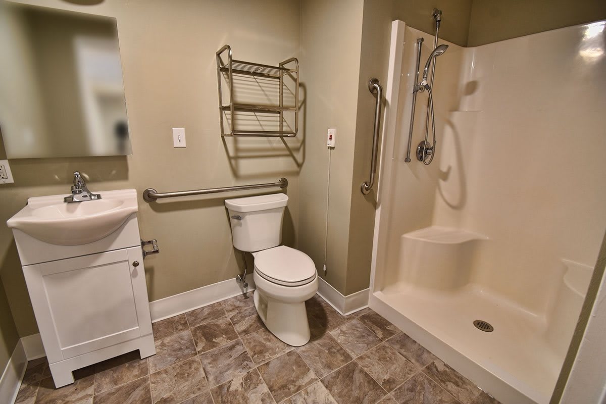 An accessible bathroom with a toilet, sink, and shower equipped with handrails.