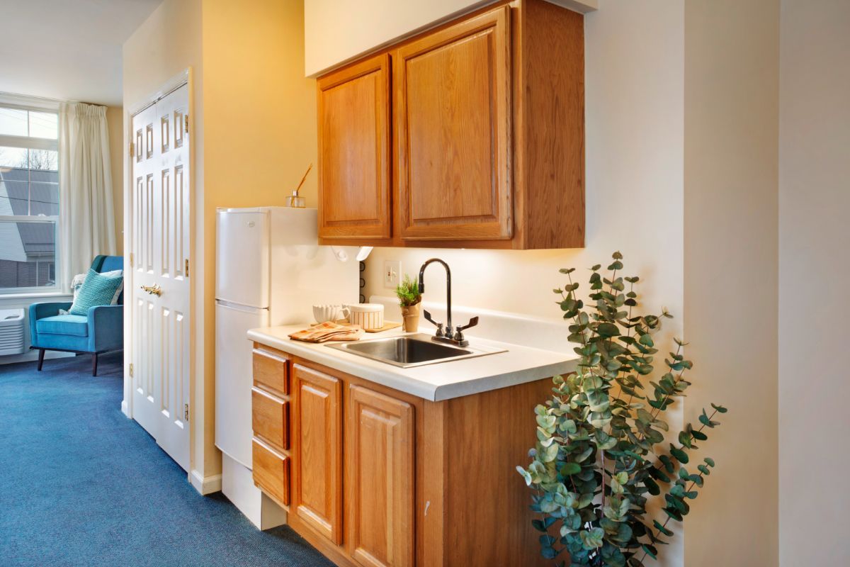 A compact kitchen area with wooden cabinets, a black sink, and a small refrigerator, complemented by a potted plant on the counter.
