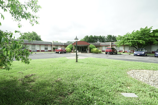 A quaint motel surrounded by lush greenery and a spacious parking area.
