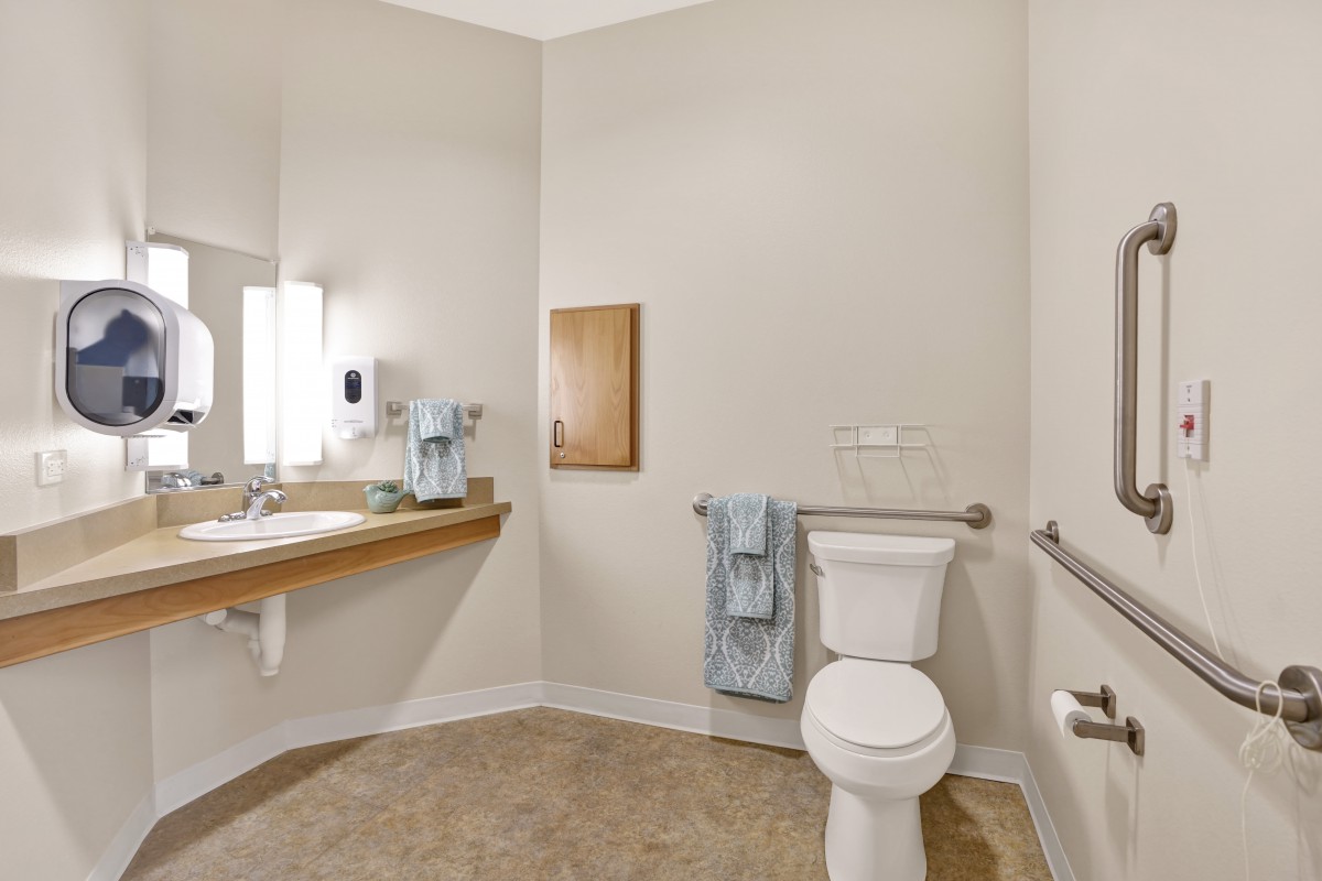 An accessible bathroom with a toilet, sink, mirror, and towel rack.