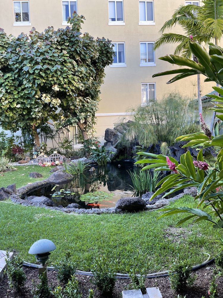 A tranquil garden with a small pond surrounded by lush greenery.