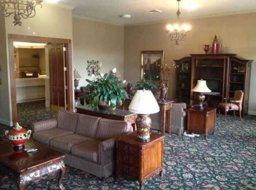 A cozy living room with vintage furniture and plants.