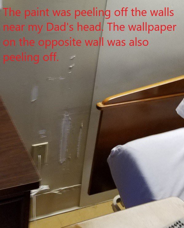 Hospital room with a bed and peeling wallpaper.