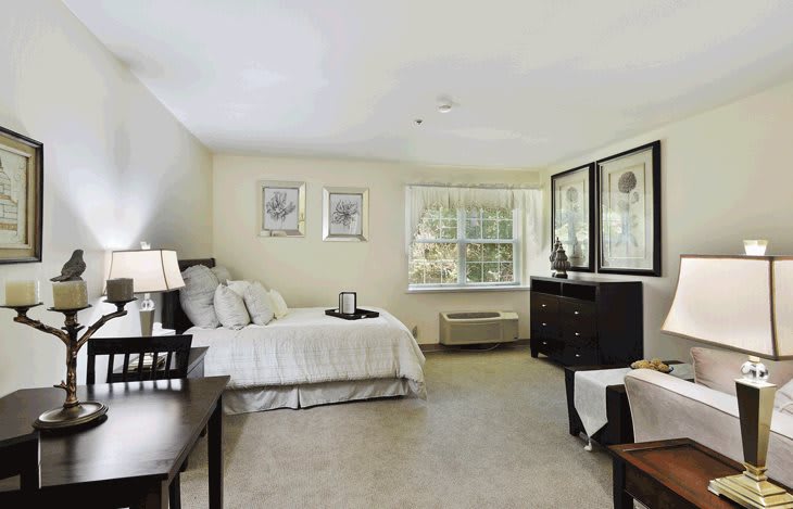 A spacious and well-decorated bedroom with a large bed, dresser, nightstand, and ample natural light from the window.