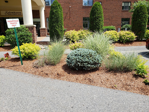 A well-maintained garden area featuring a variety of shrubs and decorative plants.