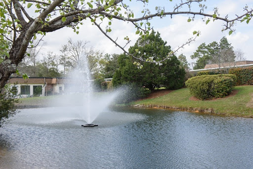A serene view of a fountain in a tranquil lake surrounded by greenery.