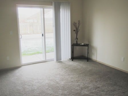A minimalist empty room with a sliding glass door and carpeted floor.