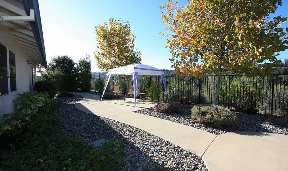 A small tent set up in a garden pathway surrounded by autumn trees.