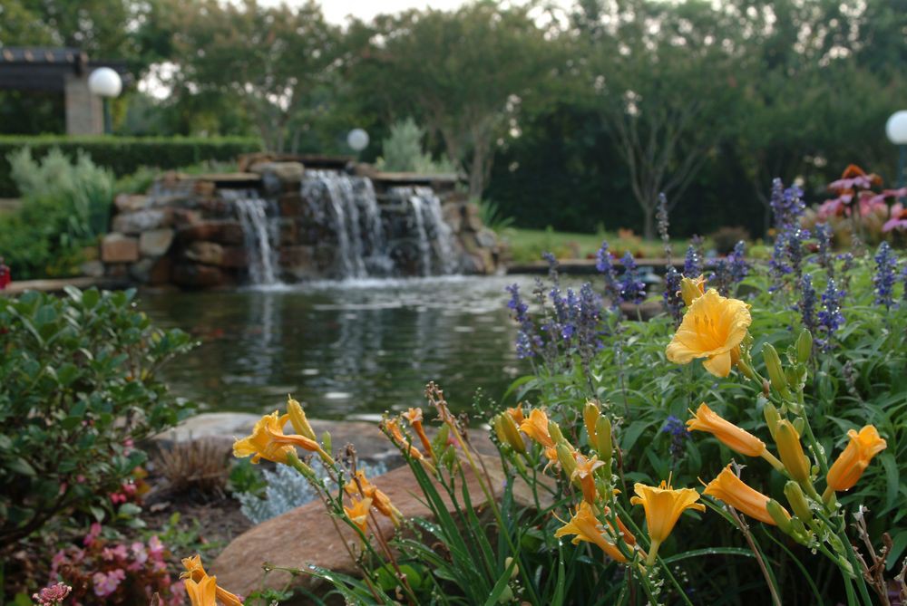 A serene garden scene with a waterfall flowing into a peaceful pond, surrounded by vibrant flowers and lush greenery.