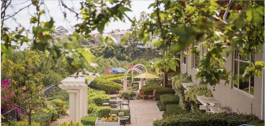 A peaceful garden setting with outdoor seating, lush greenery, and a charming archway on a sunny day.