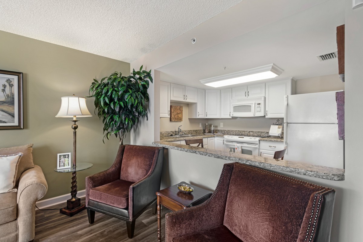 A cozy open-plan living area with a kitchen, armchairs, and a house plant.