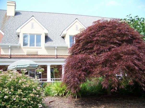 Bartholomew House