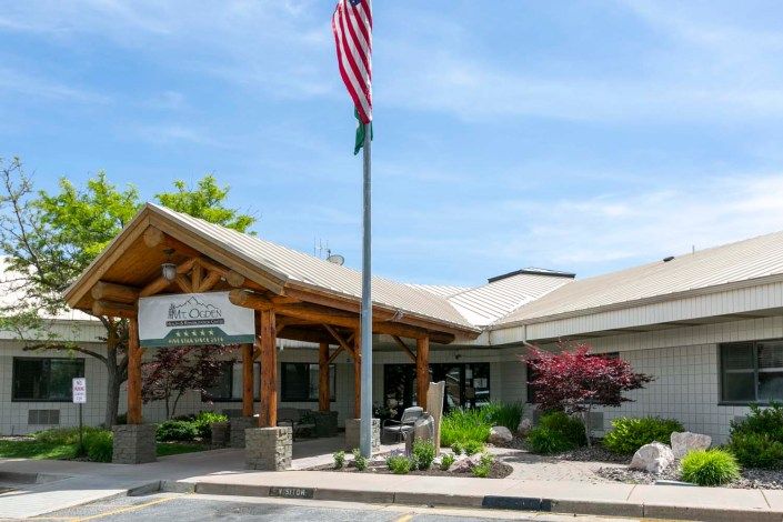 A hospital entrance with a flagpole in front and landscaped surroundings.