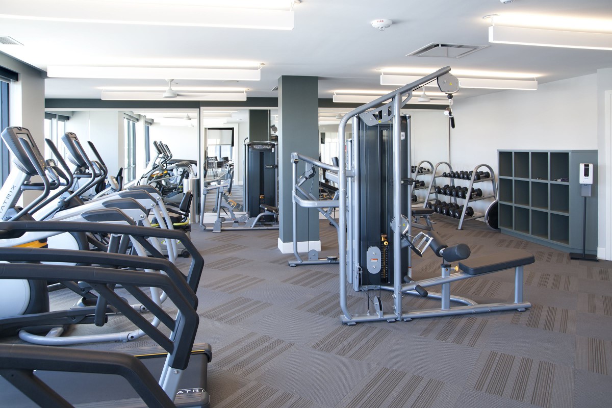 A modern gym with various exercise equipment including treadmills and strength training machines.