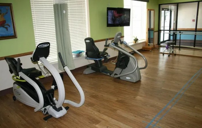 A modern gym featuring various exercise equipment for cardio workouts.