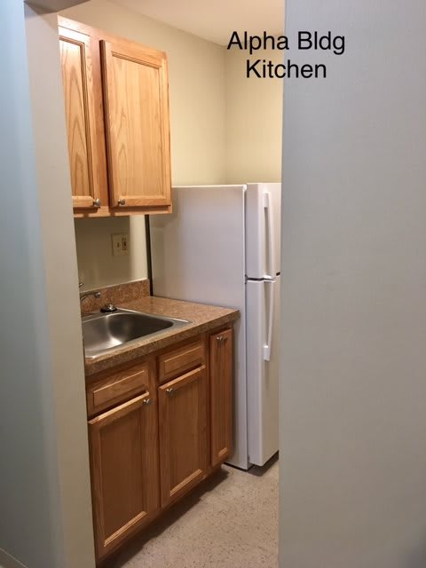 Compact kitchen space with wooden cabinets and appliances.
