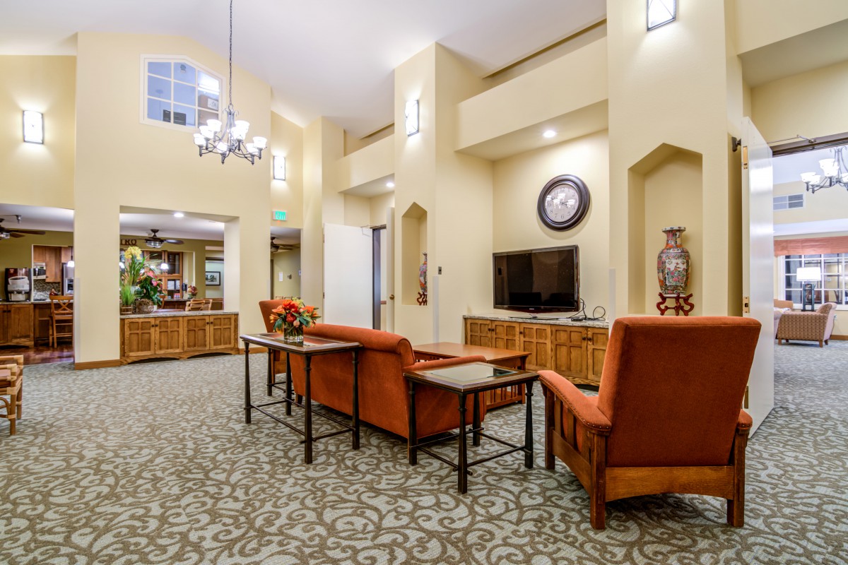 A spacious living room with comfortable seating, a television, and elegant lighting.