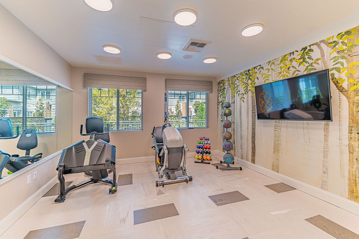 A modern fitness room with various exercise machines and bright natural lighting.