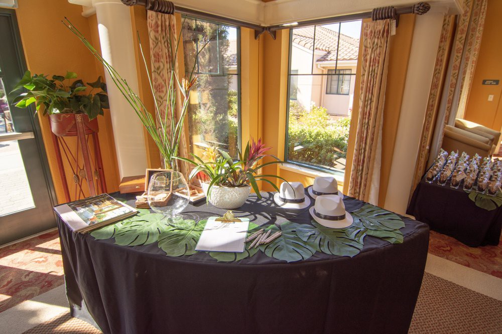 A sunlit dining table with an elegant table setting featuring plants and neatly arranged napkins and glasses.