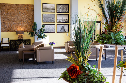 A bright and inviting lobby space featuring comfortable seating and artistic wall displays.