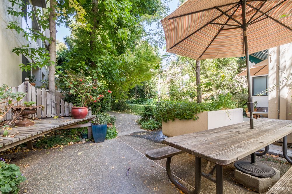 A serene garden patio with a wooden picnic table and a large umbrella, surrounded by lush greenery.