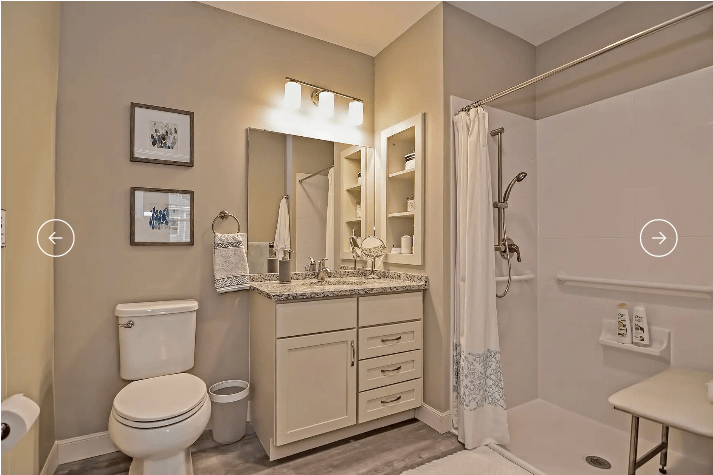 A modern bathroom featuring a vanity with a mirror, shower area, and toilet.