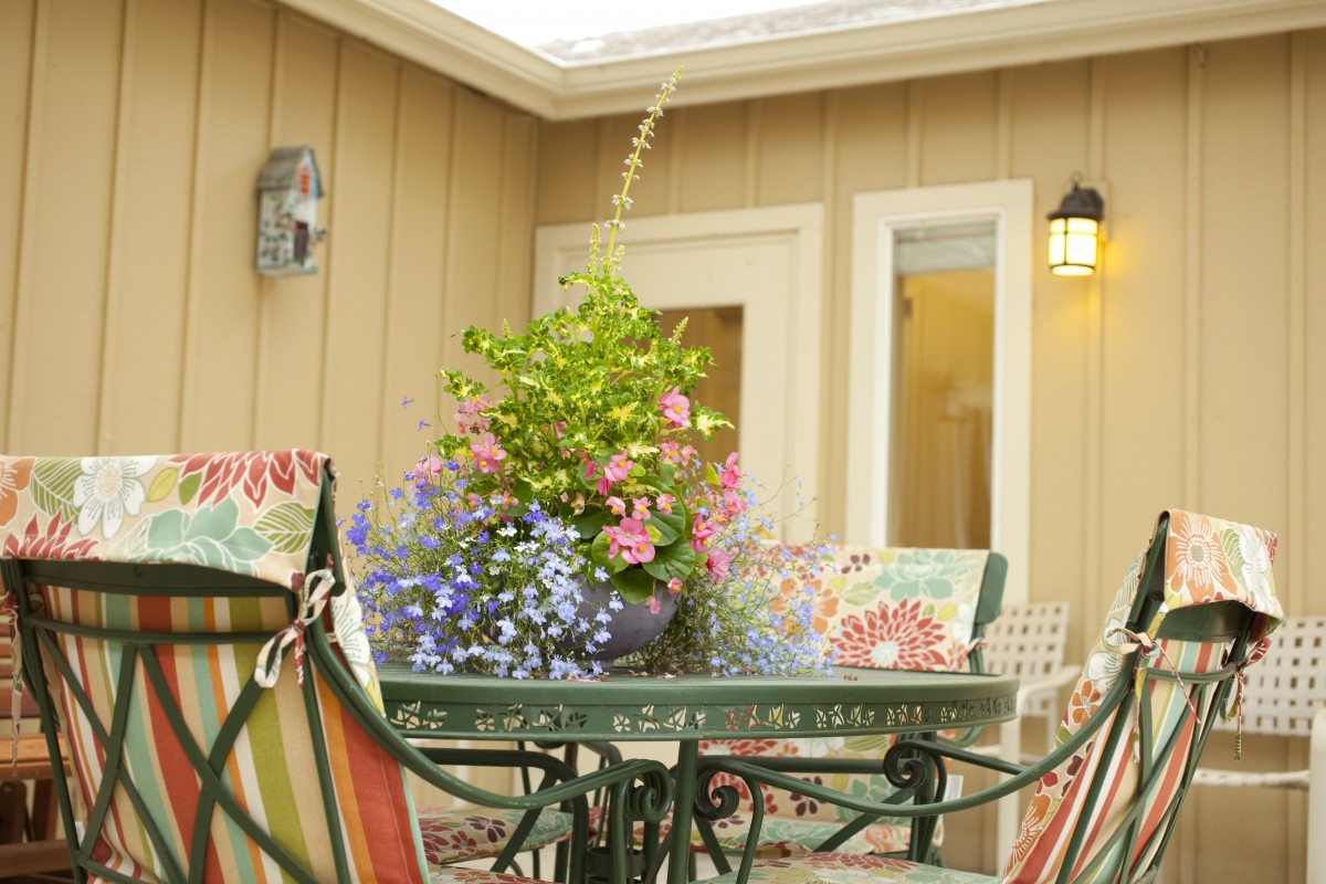 A cozy patio setting with a table adorned with colorful flowers and cushioned chairs, basking in sunlight.