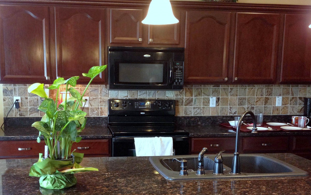 A modern kitchen interior featuring dark wooden cabinets, a black microwave and oven, a granite countertop with a sink, and a decorative plant.