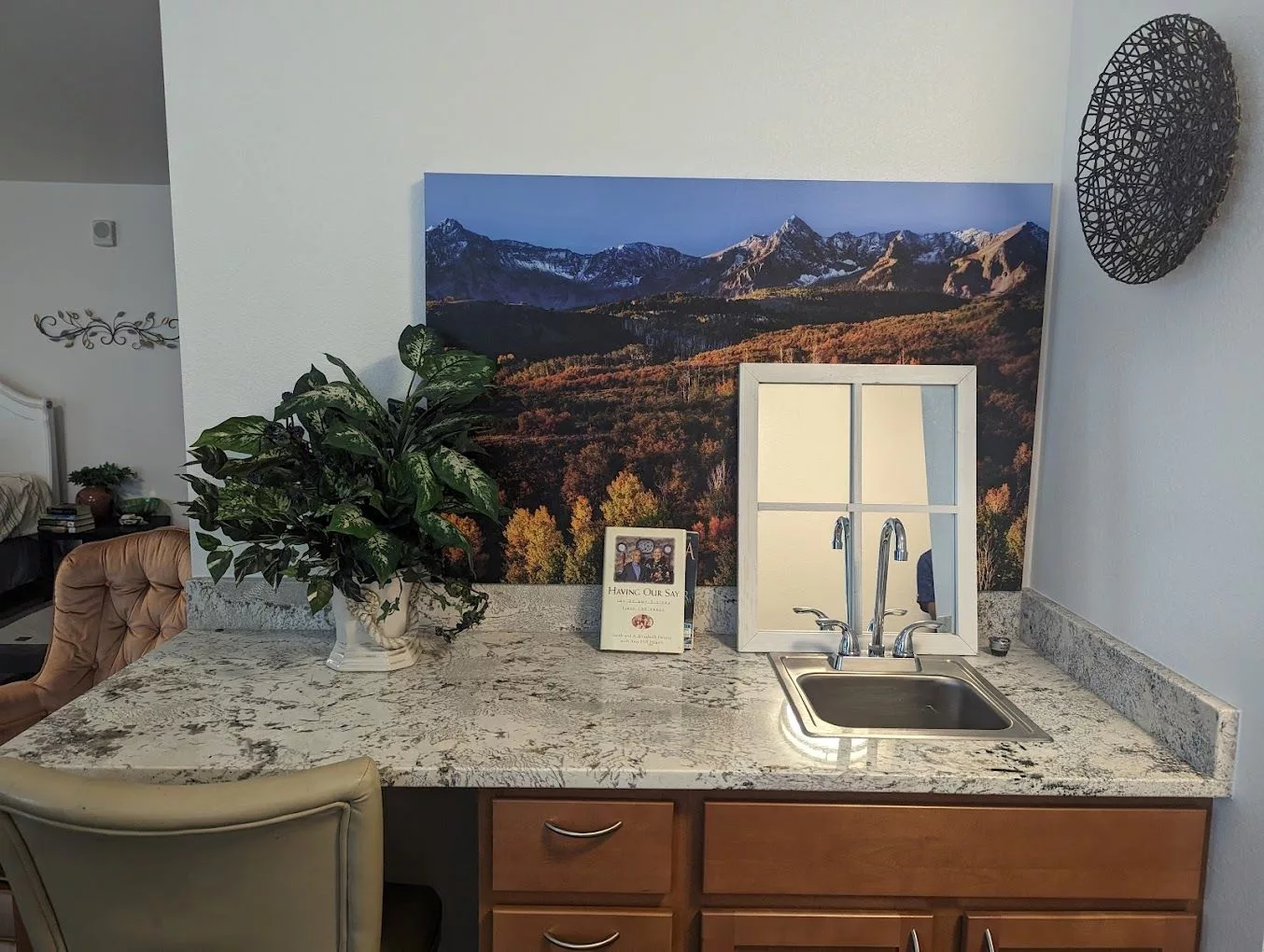 A kitchen countertop with a sink, decorative plant, and landscape artwork.