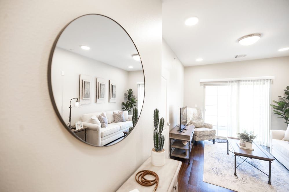 A modern, minimalist living room interior with a round mirror and cactus decor.