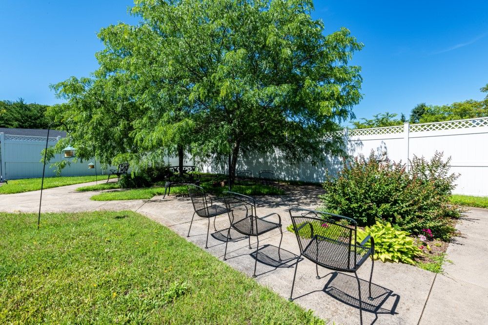 A serene outdoor garden area with chairs lined along a pathway, surrounded by lush greenery and trees.