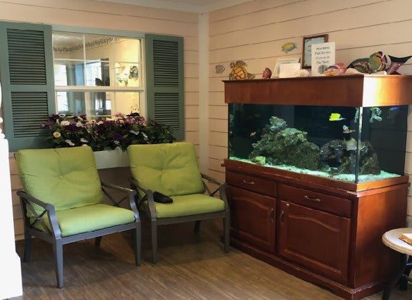 A cozy waiting room with green chairs and a large aquarium.