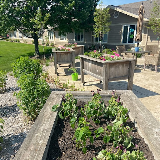 A beautiful outdoor garden featuring raised beds filled with lush plants, perfect for enjoying the sunny weather.