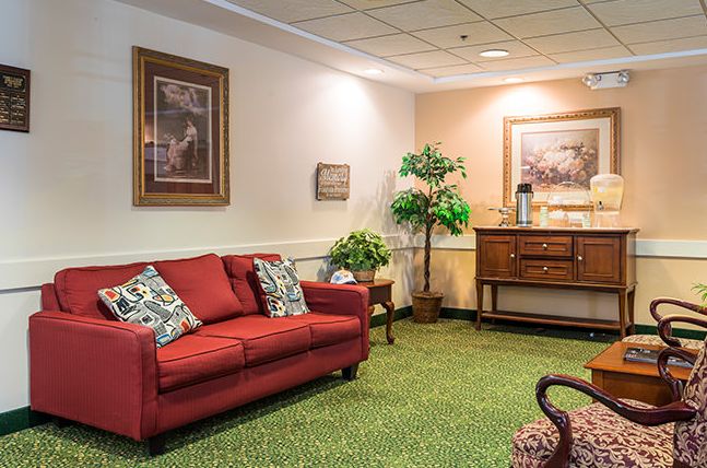 A cozy living room with a red sofa, decorative pillows, indoor plants, and framed artwork on the walls.