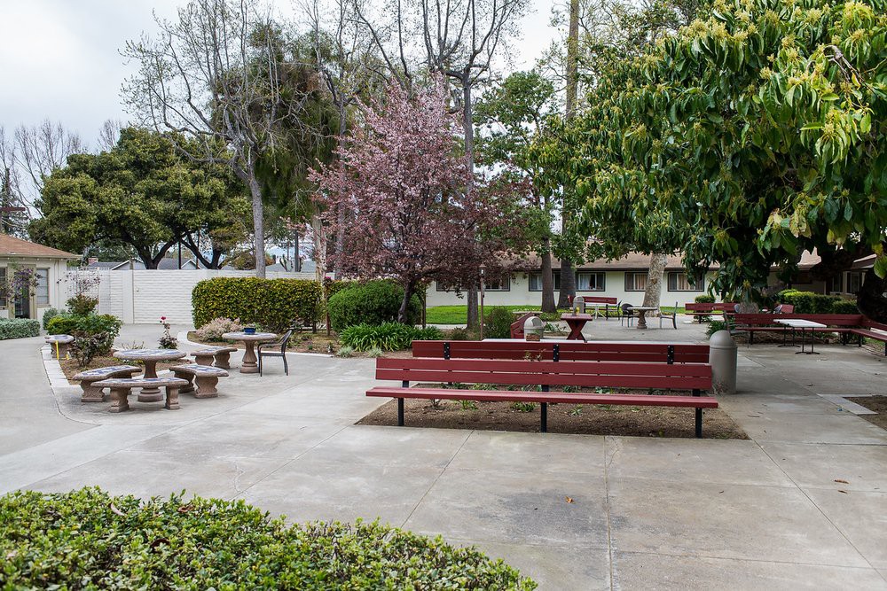 A peaceful park setting with benches and trees lining a pathway.
