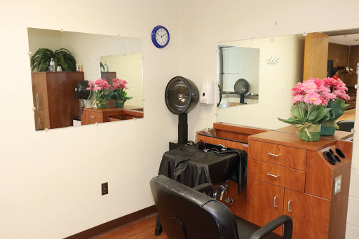 A neatly organized hair salon featuring a styling chair, mirrors, and decorative plants.