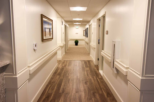 A well-lit and decorated hallway with wooden flooring and a potted plant.