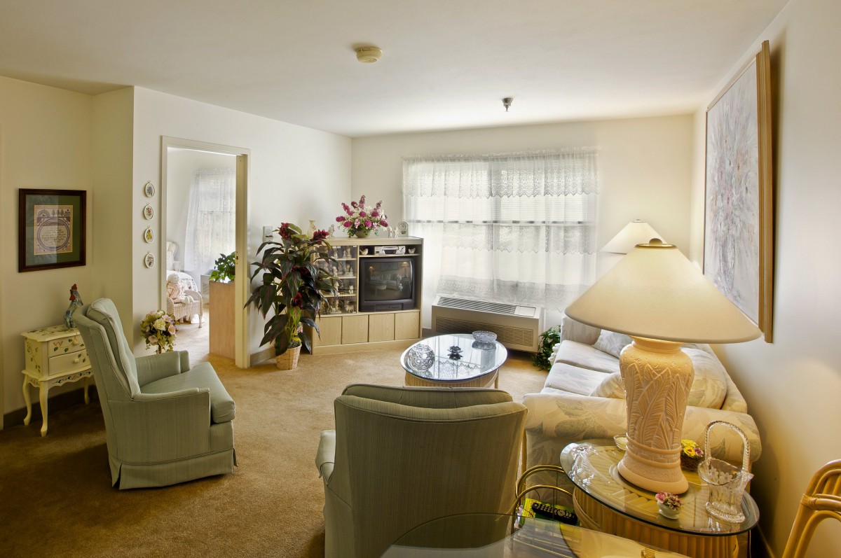 A cozy living room with comfortable sofas, chairs, a large TV, and decorative plants.