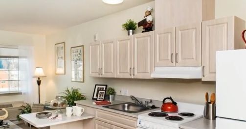 A cozy kitchen with light-colored cabinets, a red teapot on the stove, and decorative plants on the countertop.