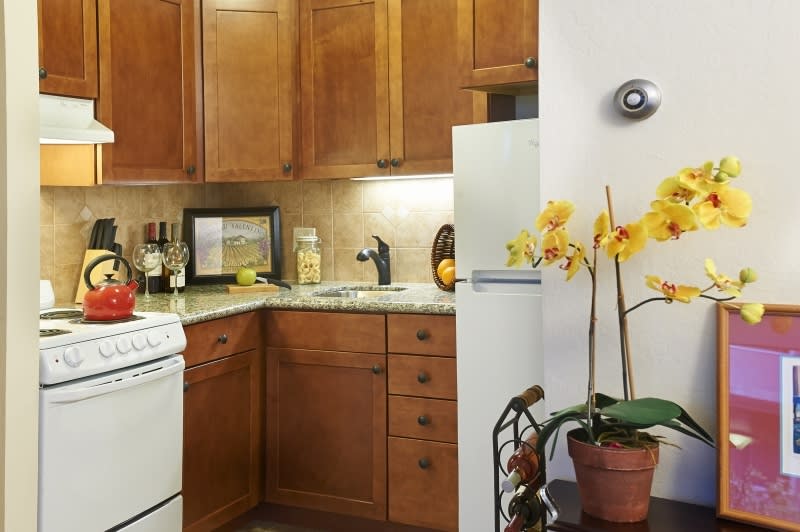 A cozy kitchen with wooden cabinets, a potted plant with yellow flowers, and various appliances on the countertop.