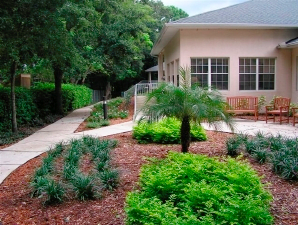 A well-maintained garden with lush greenery and a walkway leading to a building.