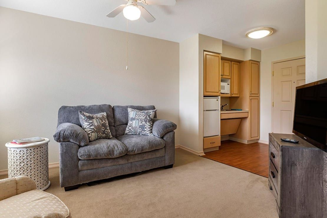 A cozy living room with a plush grey sofa and a compact kitchenette.
