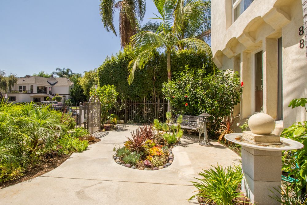 A sunny patio garden with tropical plants and outdoor seating.