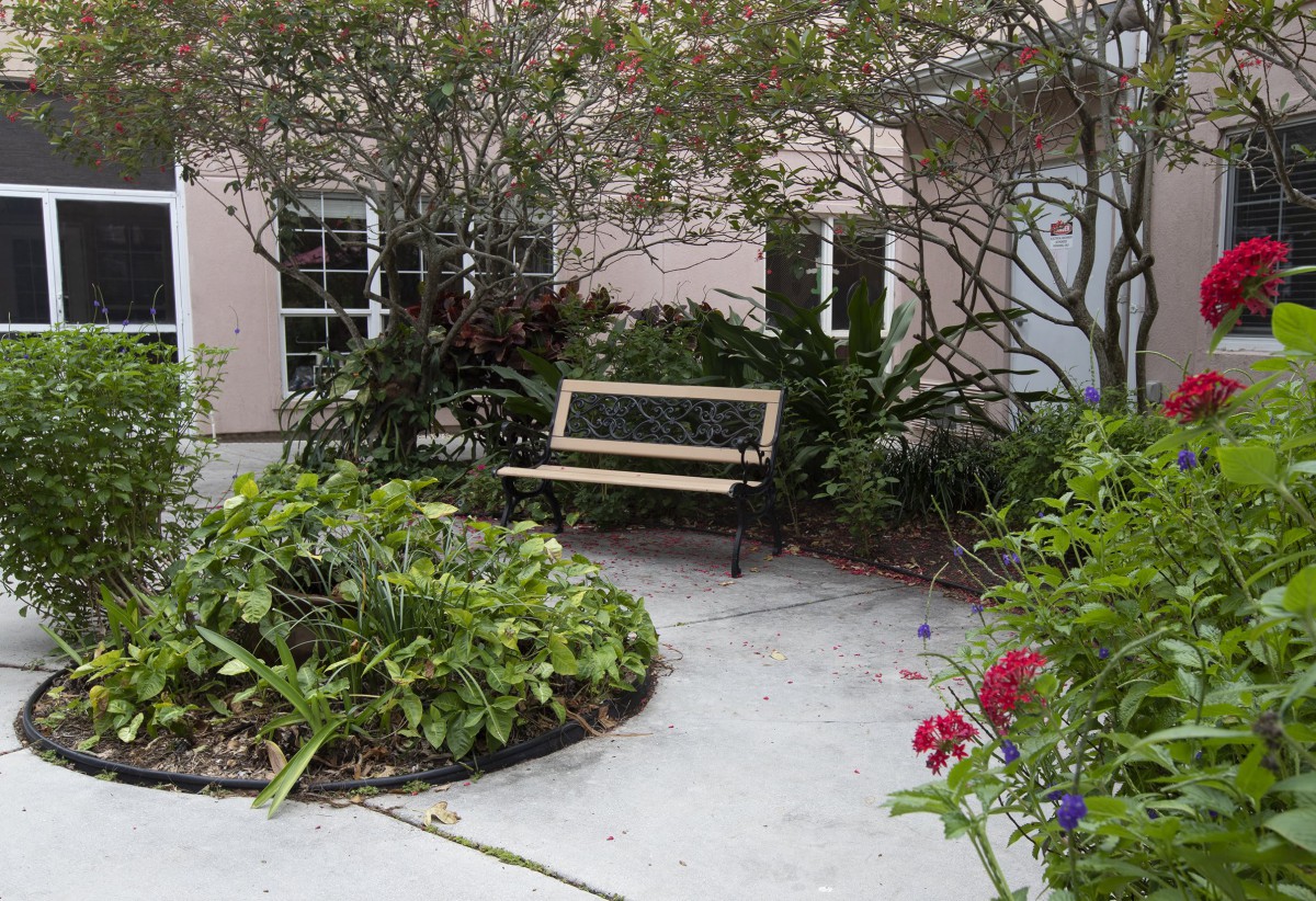 A peaceful garden setting with a bench surrounded by lush greenery and colorful flowers.