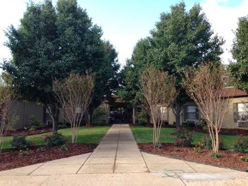 A serene path lined with trees, leading through a well-maintained garden.