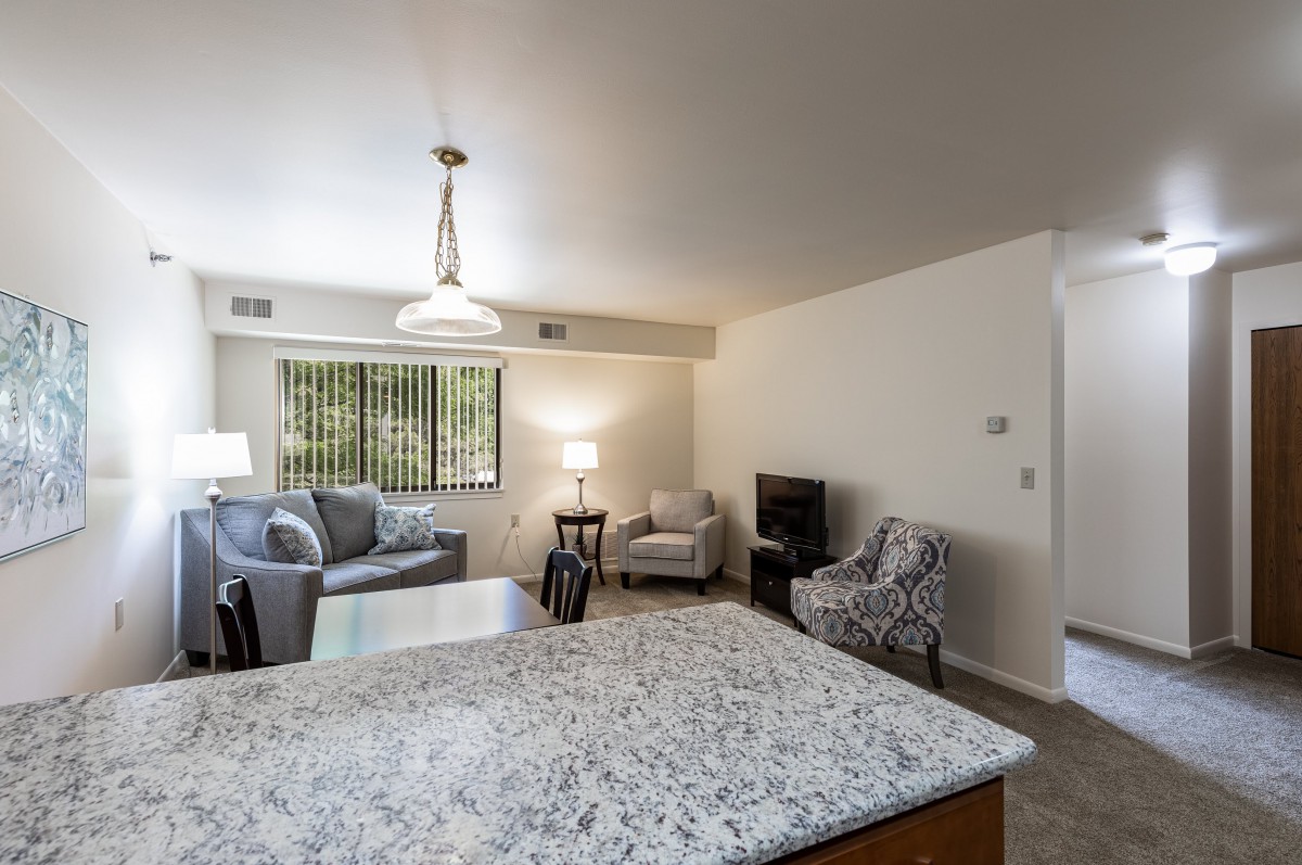 A cozy open-concept living room with modern furniture and a granite countertop.
