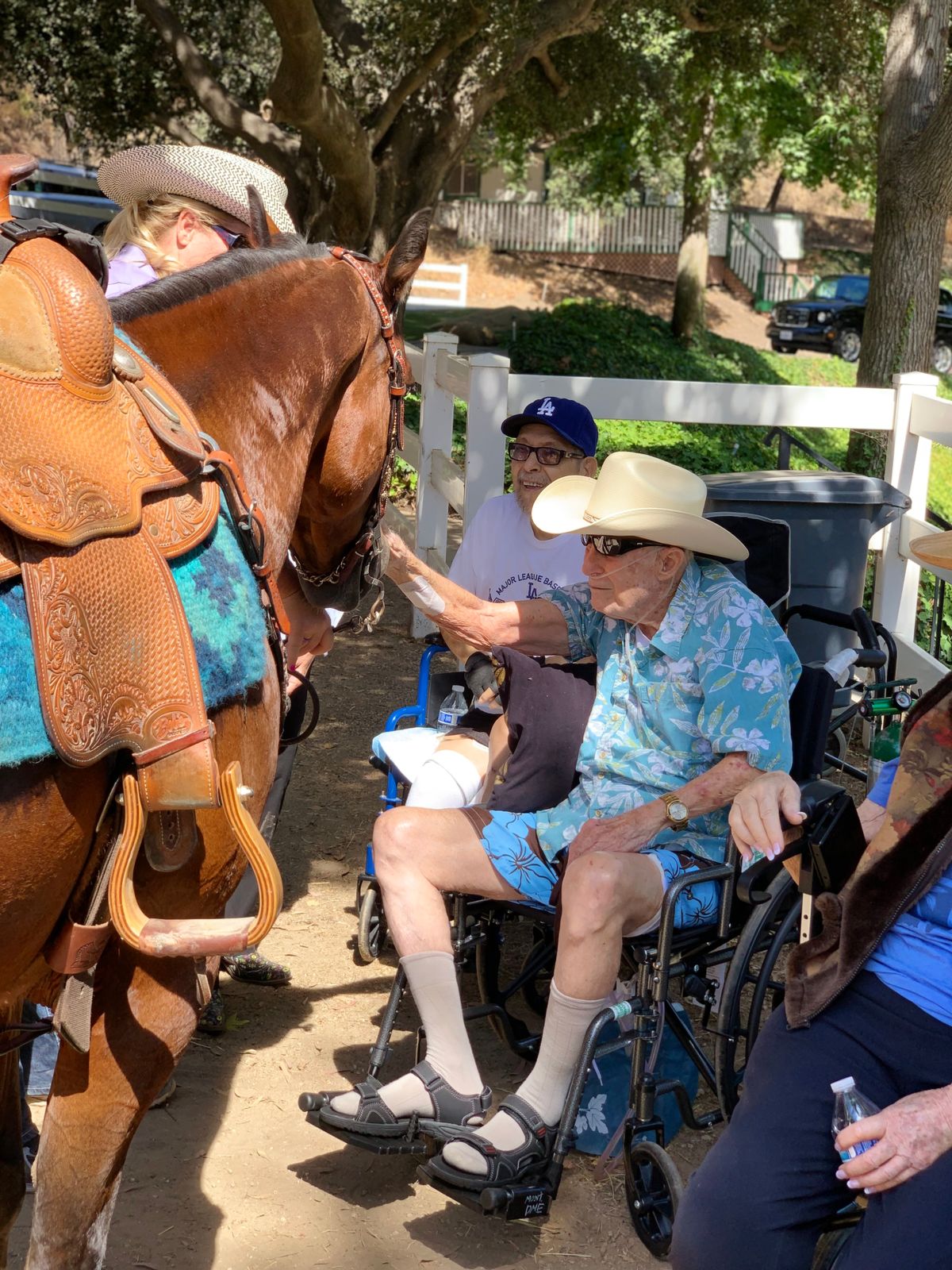 A group of elderly individuals in wheelchairs enjoying an outdoor setting with a horse.