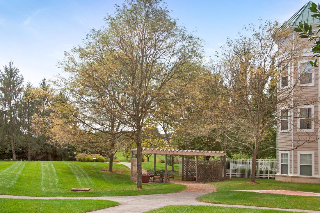 A serene park scene with a gazebo, surrounded by lush green grass and tall trees under a clear sky.